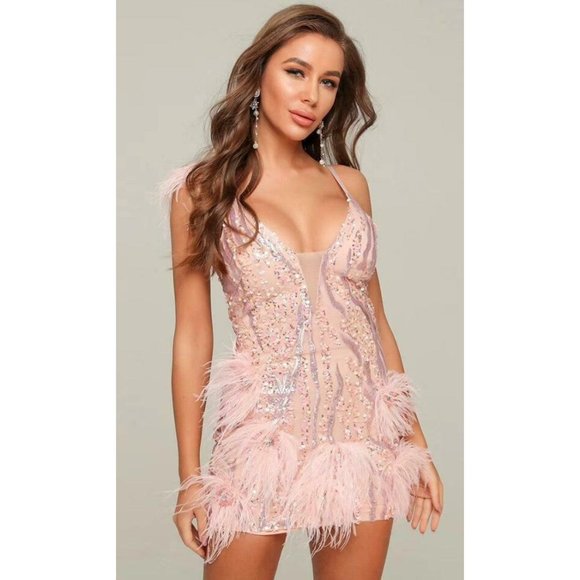 Dresses & Skirts - Pink Sheer Mesh Sequin Feathers Sleeveless V Neck Bodycon Mini Dress NWT